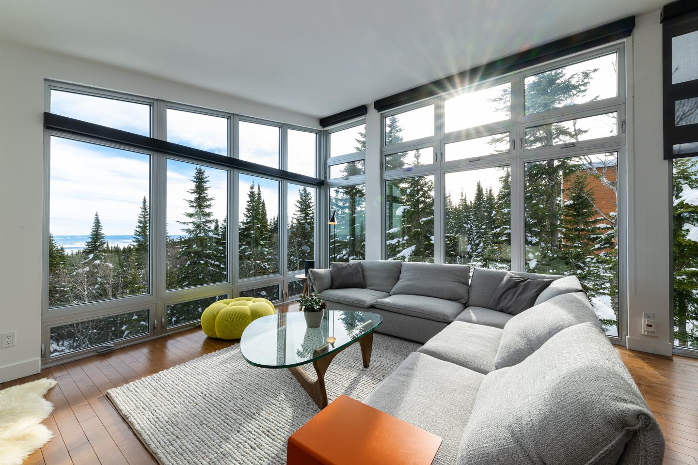 Salon lumineux avec un grand canapé gris, fenêtres donnant sur des arbres sous le soleil.