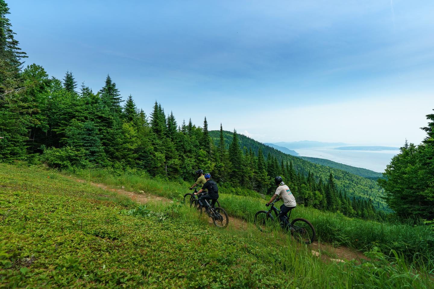 Deux cyclistes pédalent sur un sentier forestier, ciel bleu, lac en arrière-plan.