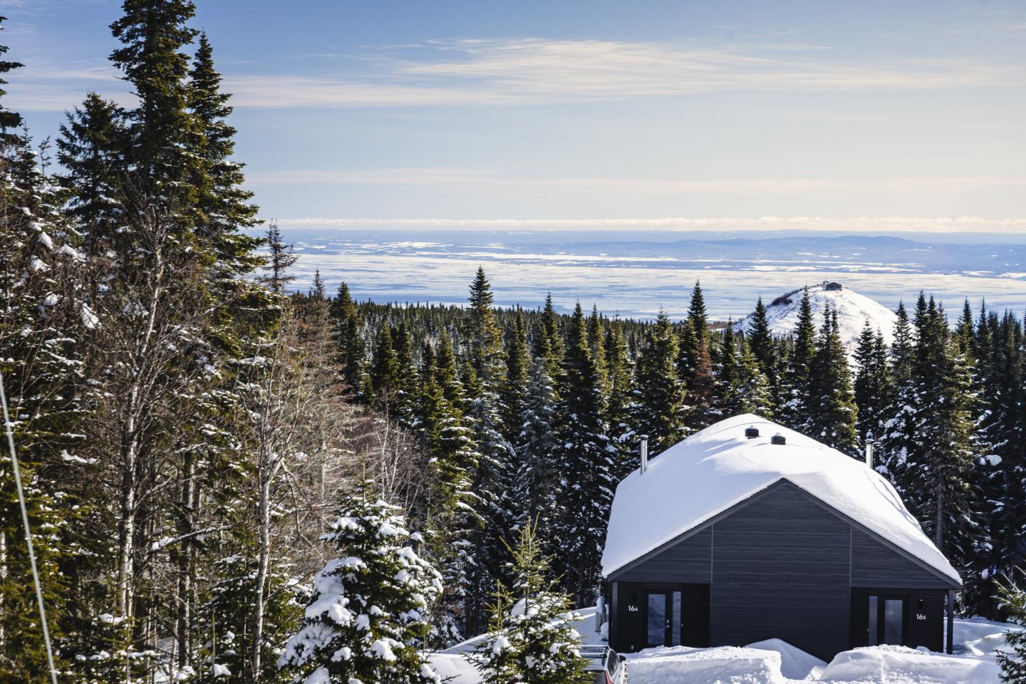 Cabane enneigée entourée de sapins sous un ciel bleu.