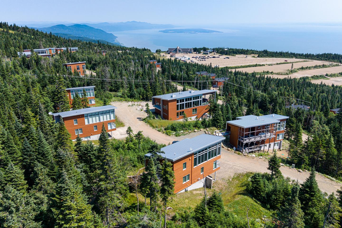 Maisons modernes dans une forêt, vue sur mer et collines en arrière-plan.