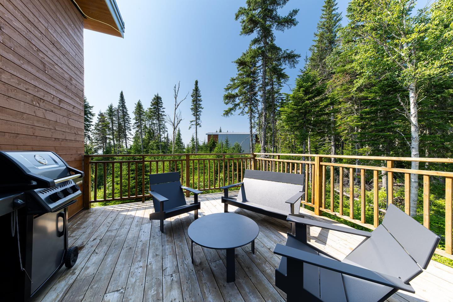 Terrasse en bois avec salon de jardin et barbecue, bordée d'arbres verts.