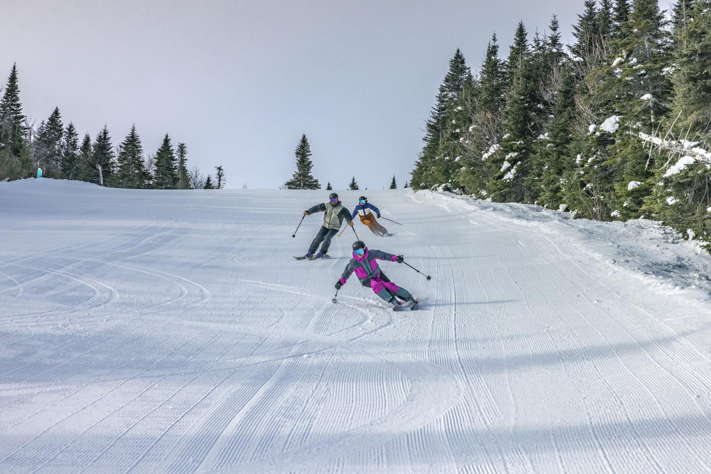 Quatre skieurs glissent sur une piste enneigée entourée de sapins.