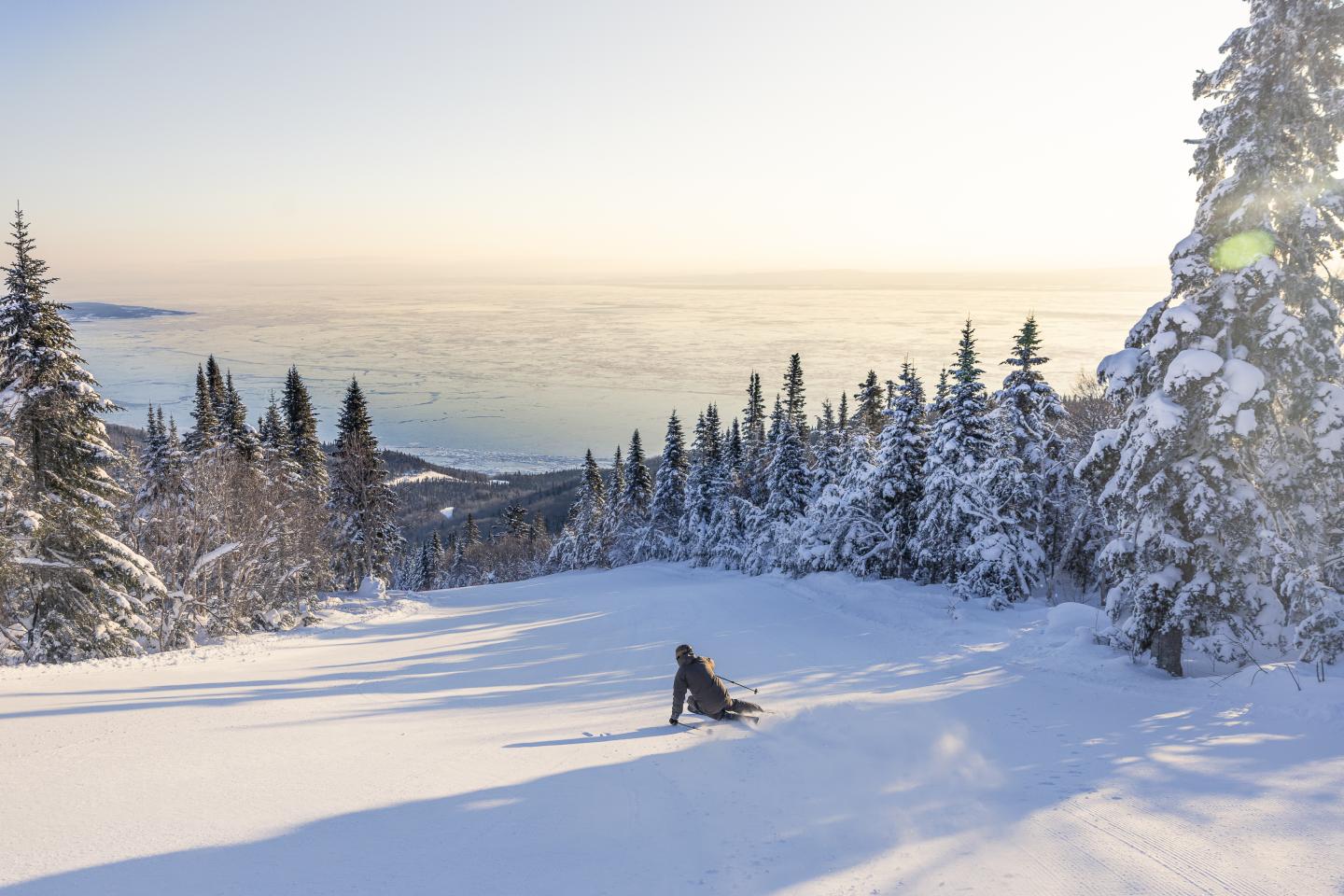 Skieur seul sur une pente enneigée, entouré de sapins sous un ciel pâle.