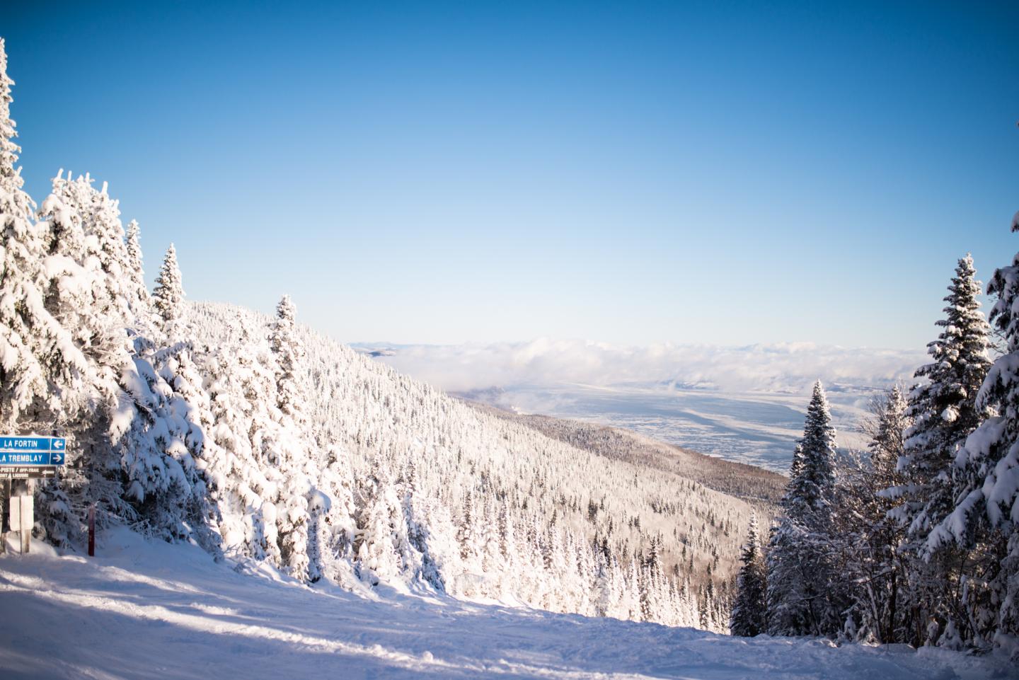 Piste enneigée bordée de sapins givrés, avec vallée montagneuse au loin.