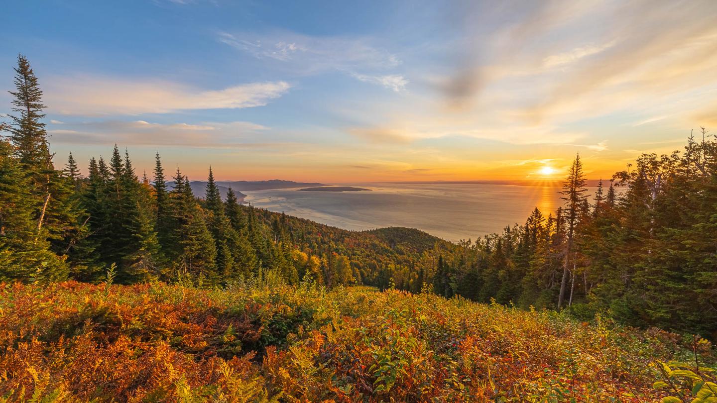 Coucher de soleil sur une forêt de conifères et des collines fleuries.