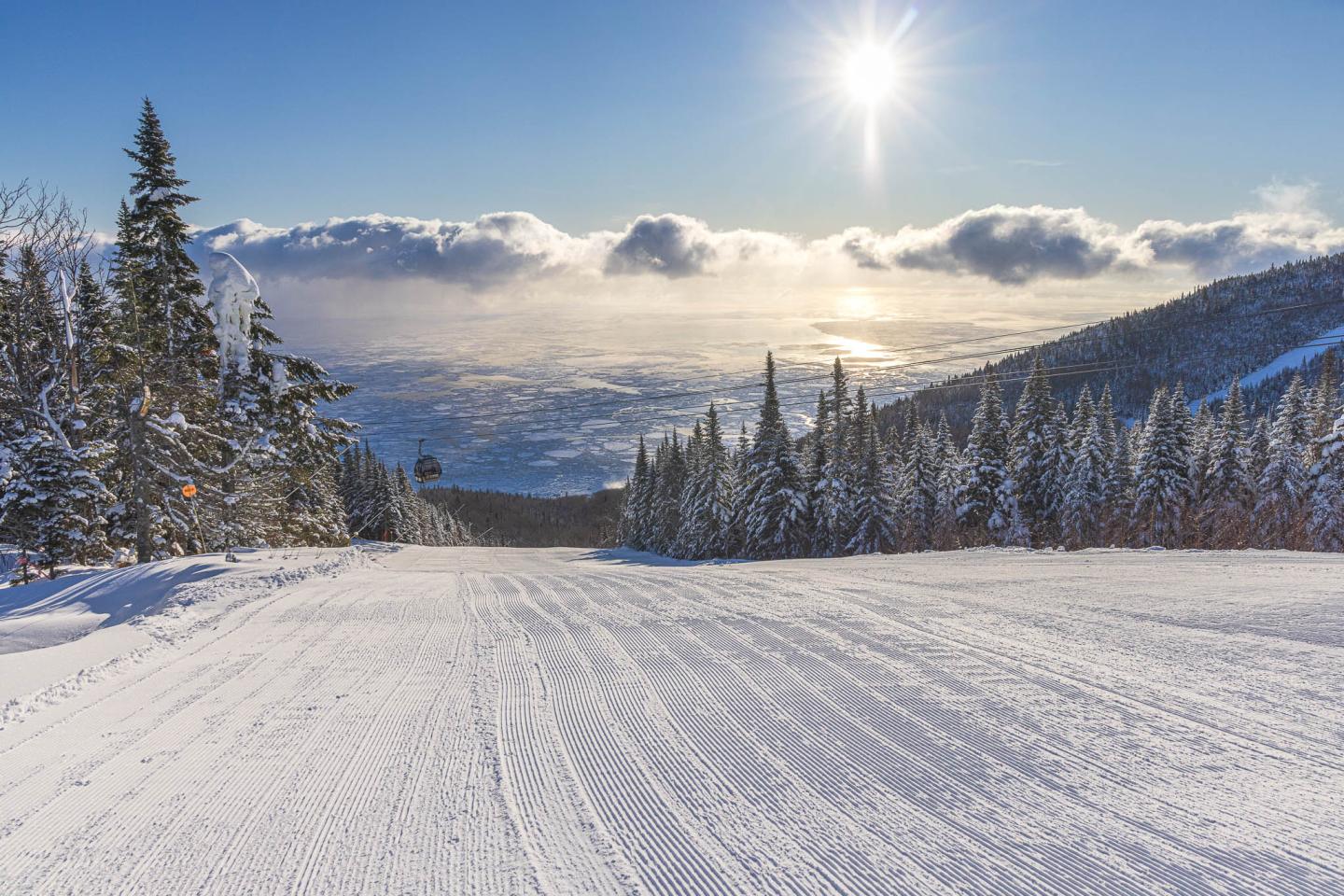 Piste de ski enneigée bordée de sapins sous un soleil éclatant.