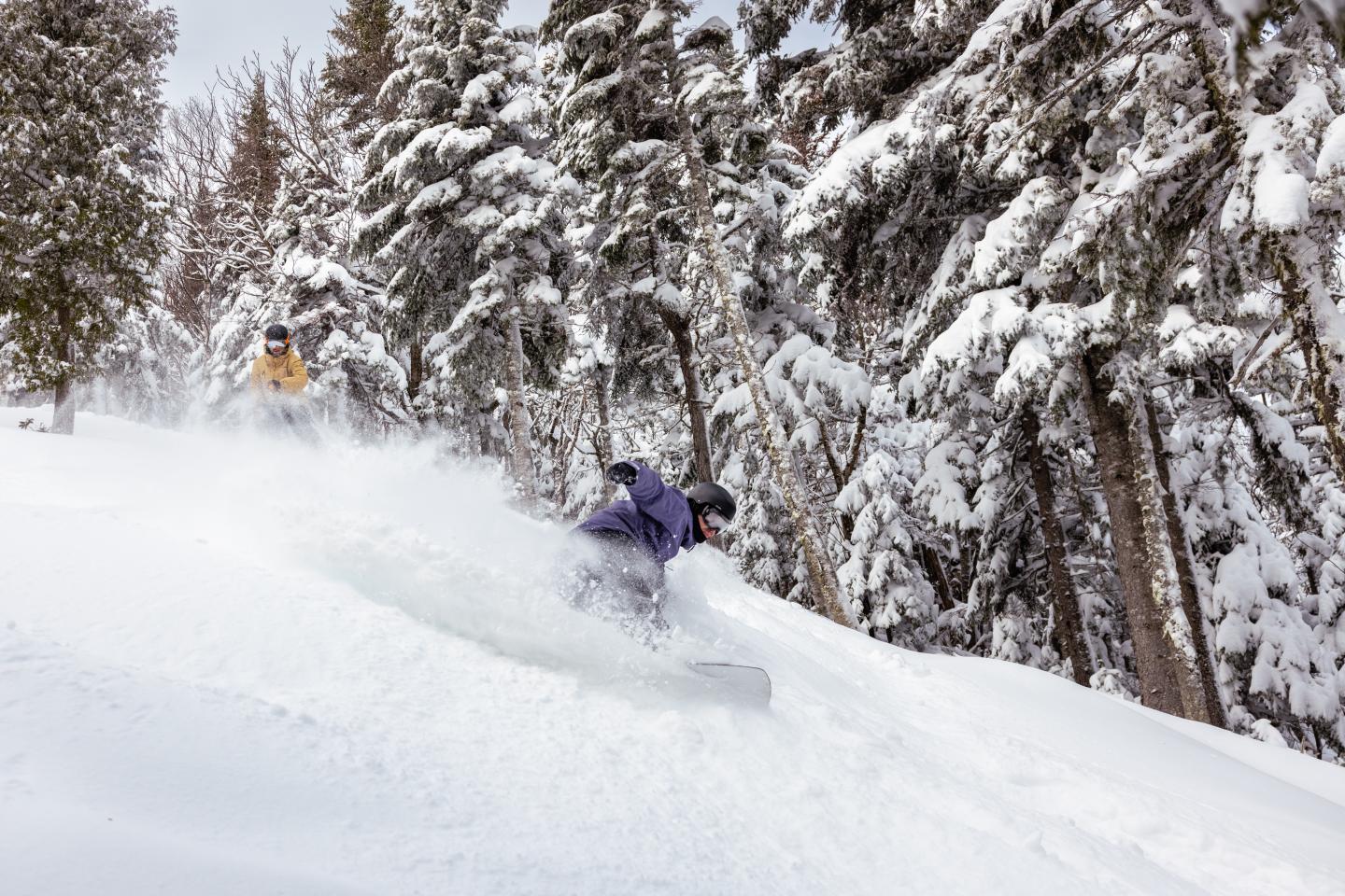 Skieur en poudreuse dans une forêt de conifères enneigés.