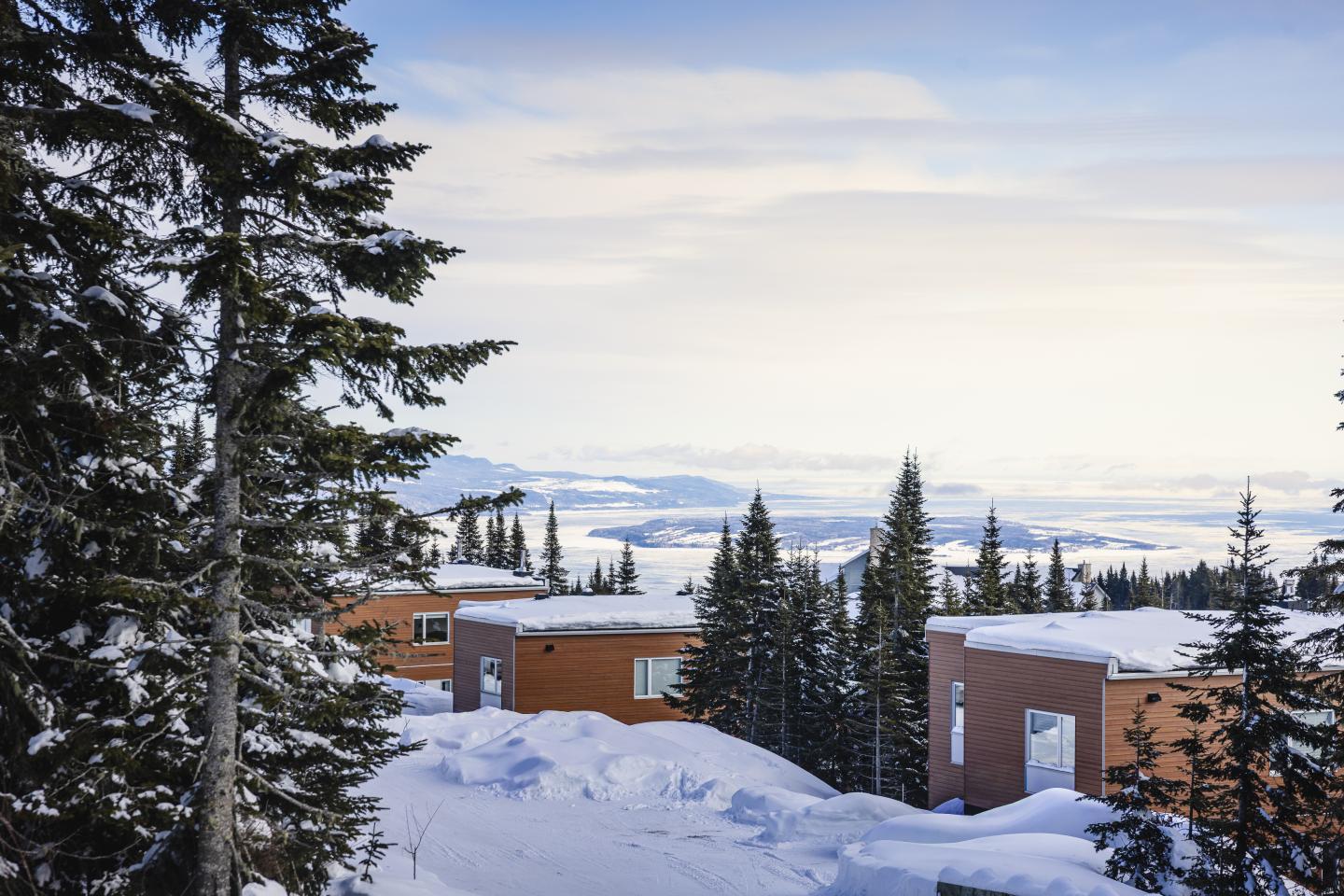 Chalets enneigés parmi des sapins, avec lac et montagnes à l’horizon.