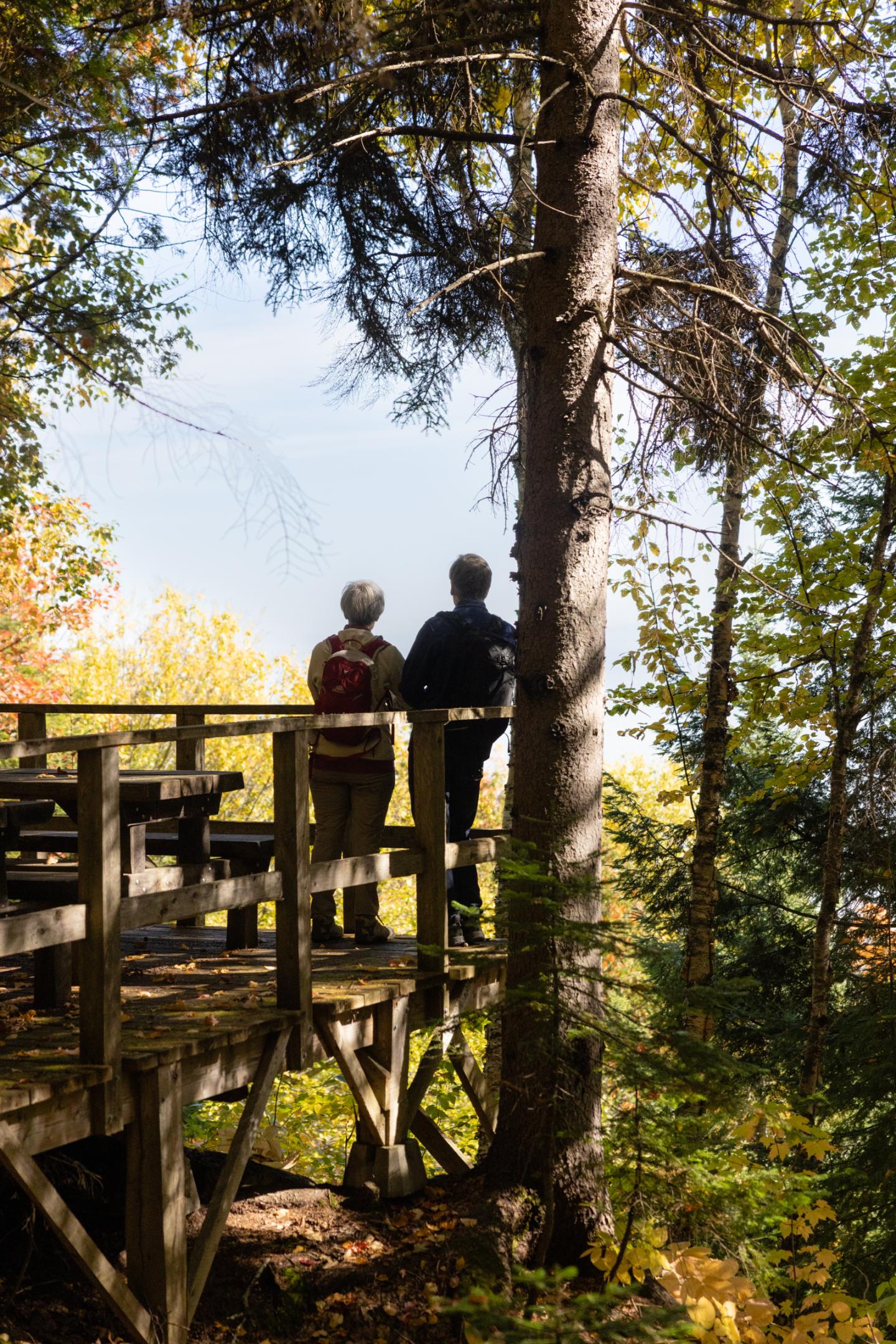 Deux personnes sur une plateforme en bois dans une forêt ensoleillée.