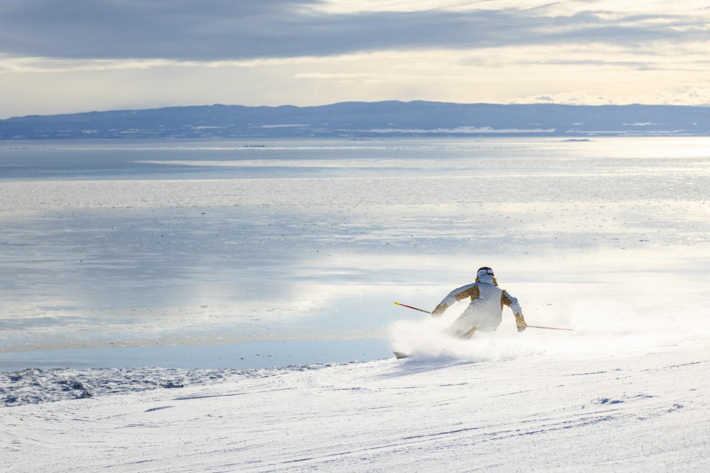 Manchot glissant sur la neige au bord d’une mer glacée.