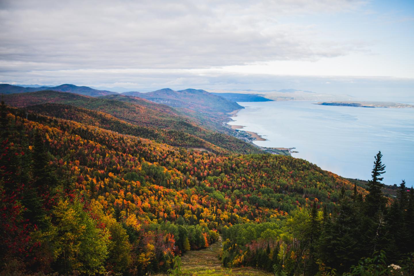 Forêt automnale colorée surplombant un lac bleu et des montagnes brumeuses.
