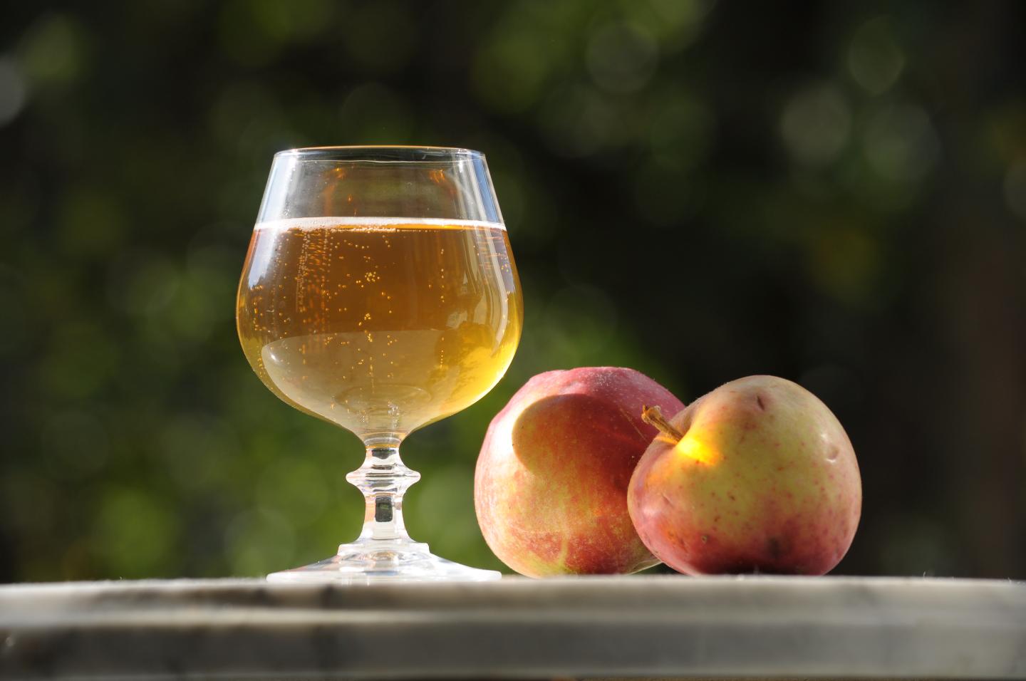 Verre de cidre et 2 pommes sur une table en extérieur