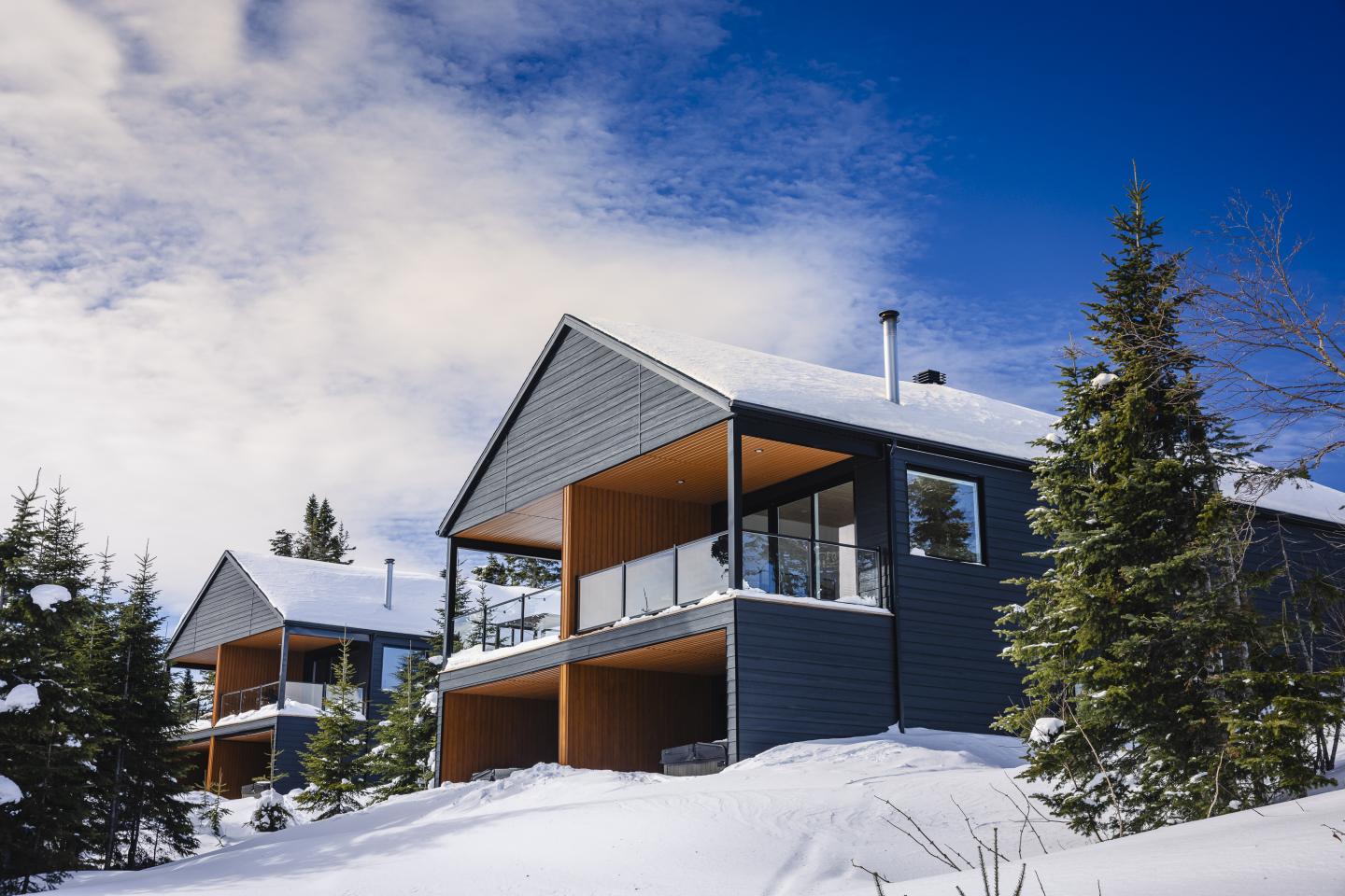 Maison moderne sombre enneigée, entourée de sapins sous un ciel bleu.