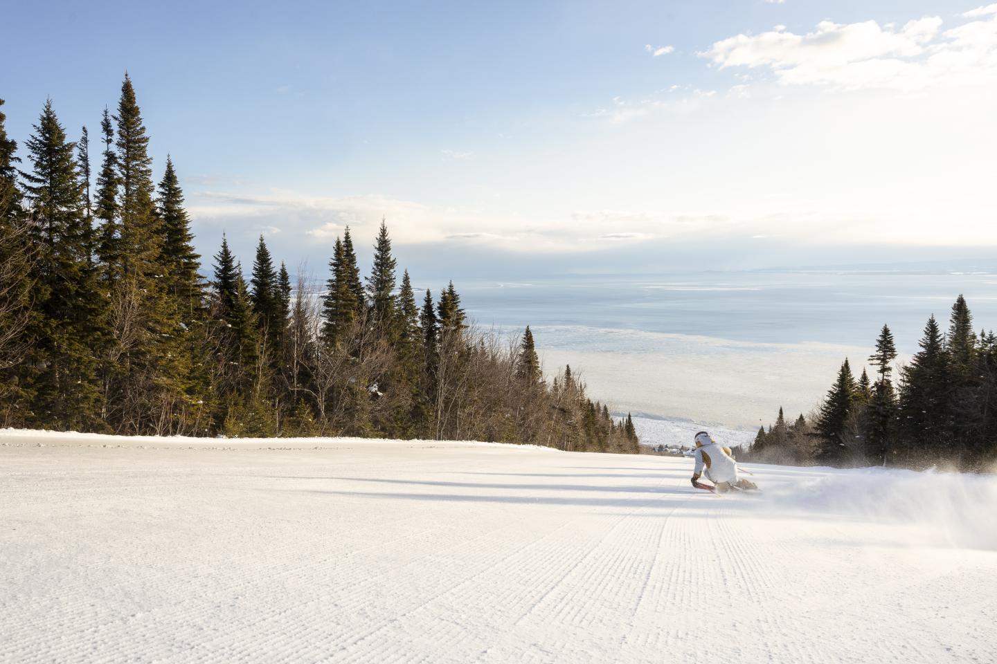 Skieur seul sur une piste enneigée, bordée de sapins sous un ciel bleu.
