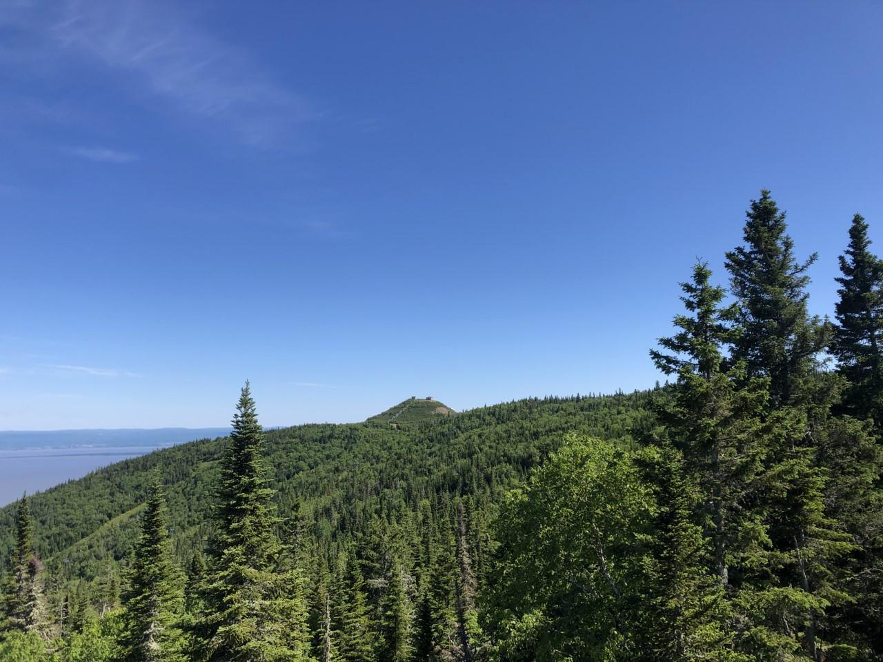 Le Buton | Le Massif