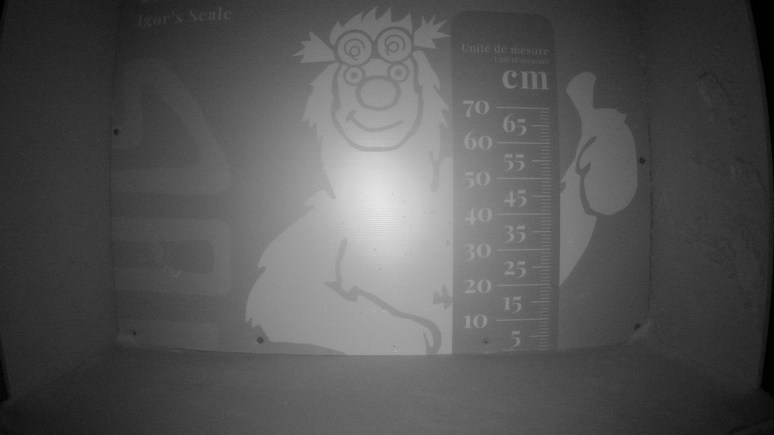 Échelle d’Igor – Summit webcam