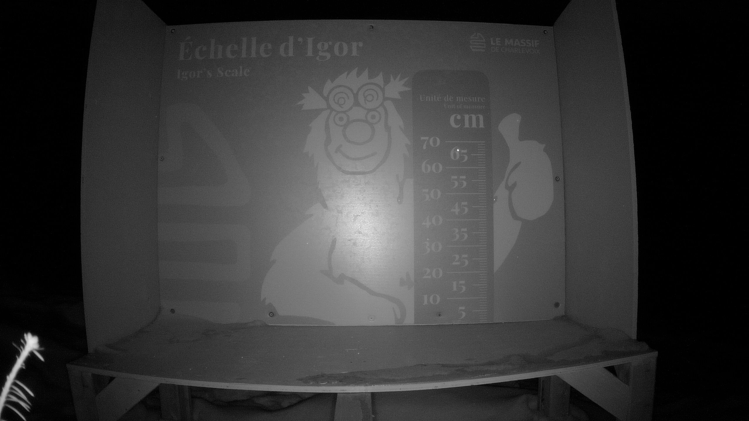 Échelle d’Igor – Summit webcam
