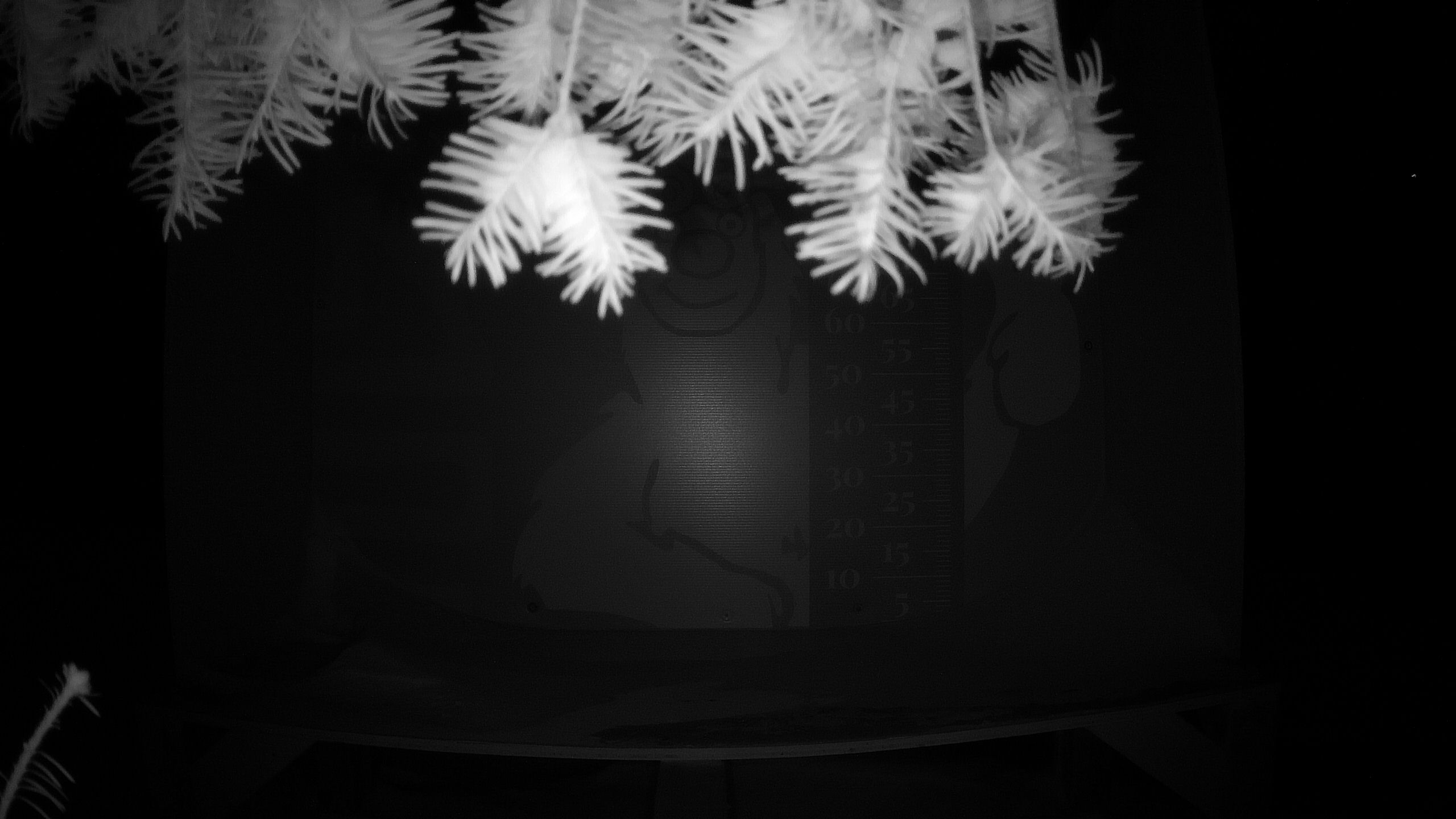 Échelle d’Igor – Summit webcam