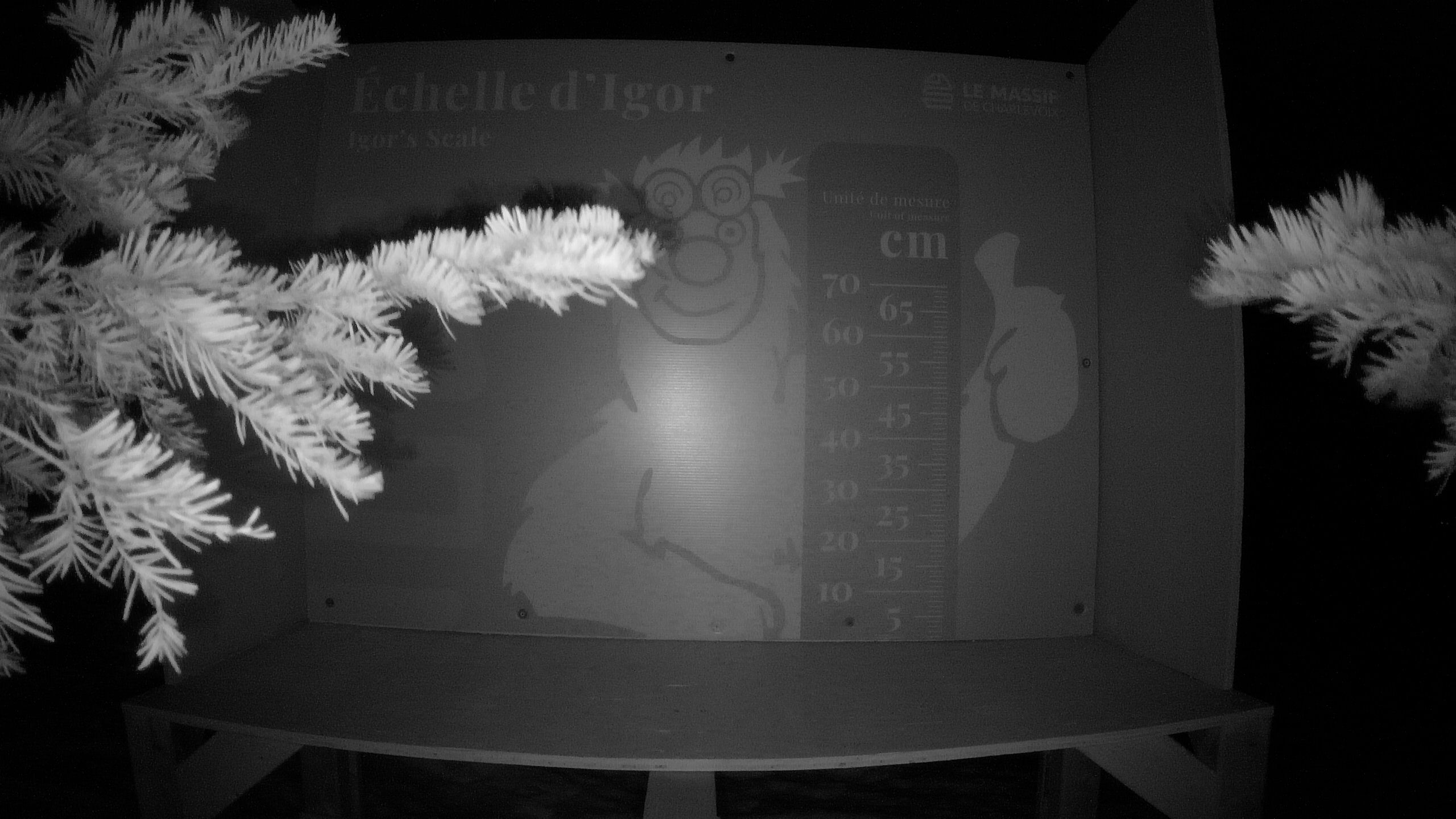 Échelle d’Igor – Summit webcam