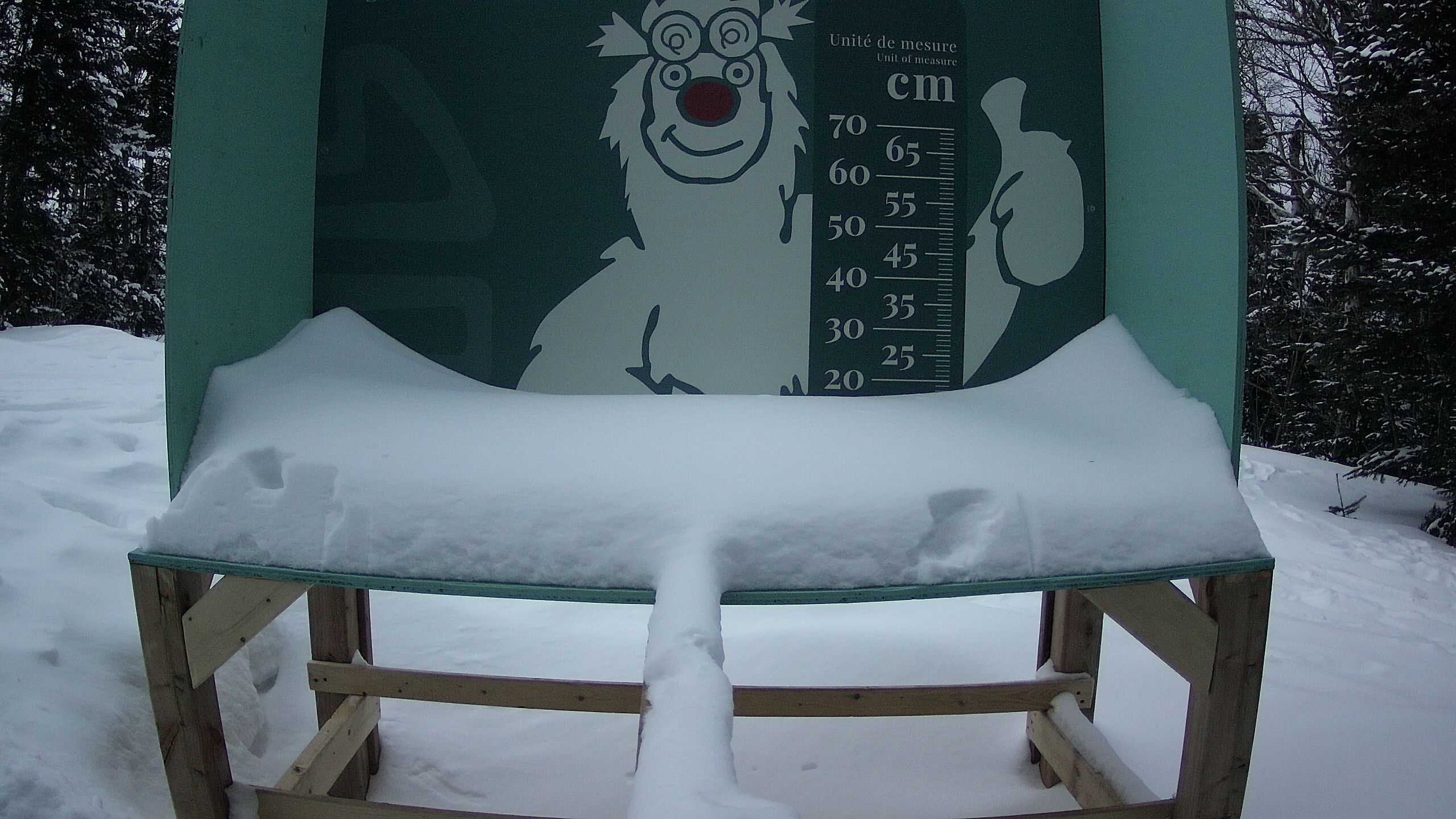 Échelle d’Igor – Summit webcam