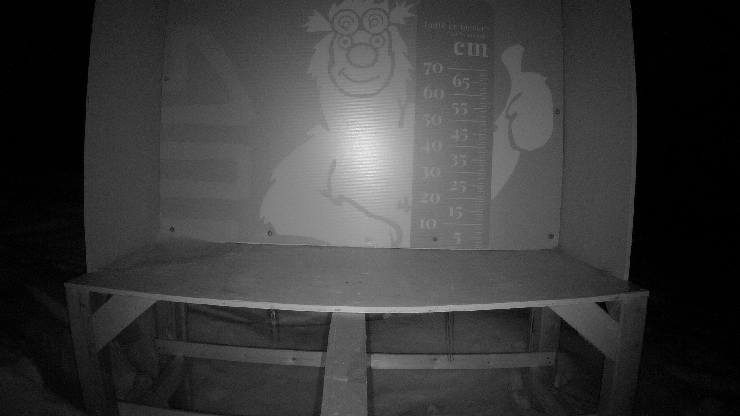 Échelle d’Igor – Summit webcam