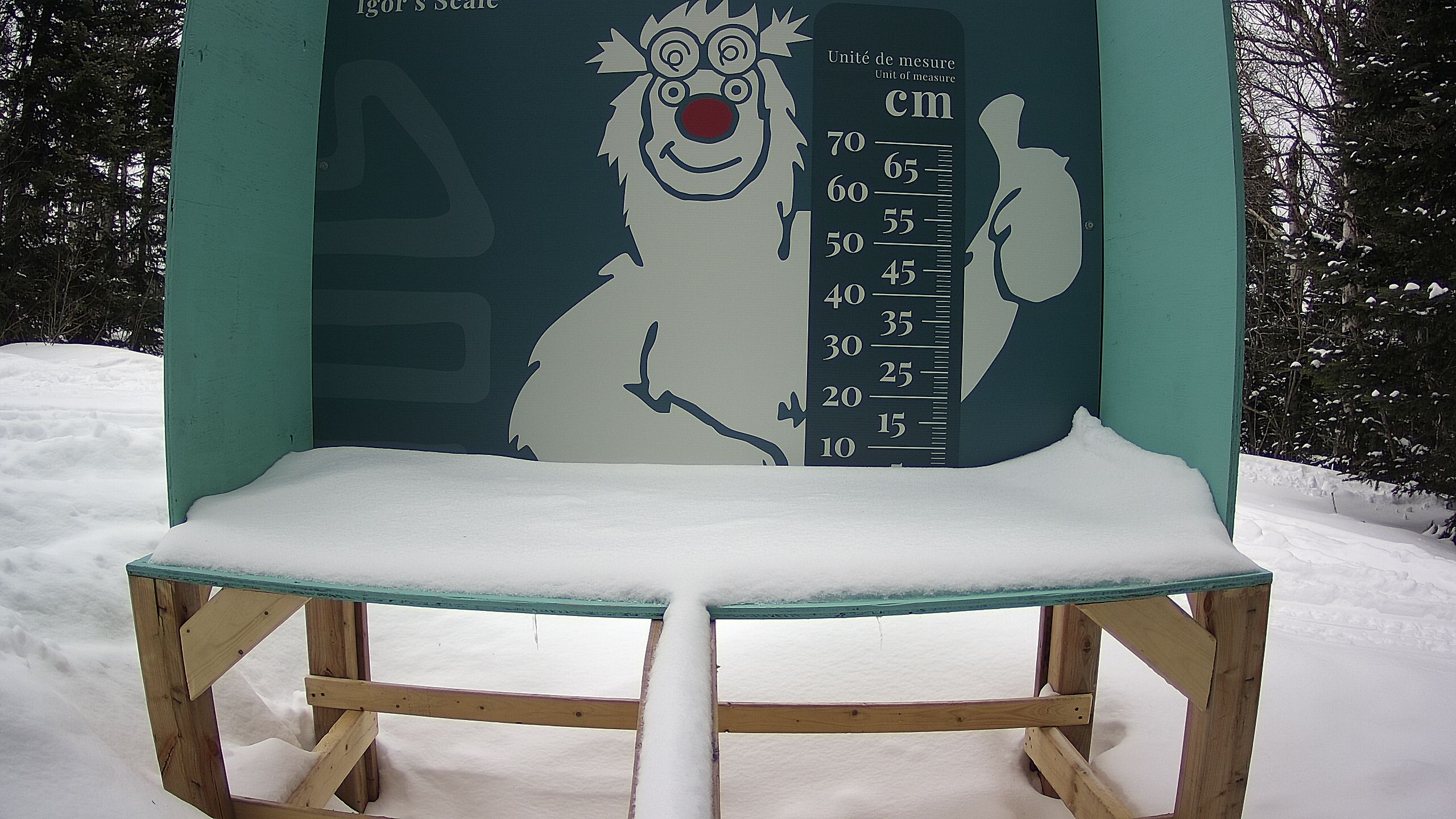 Échelle d’Igor – Summit webcam