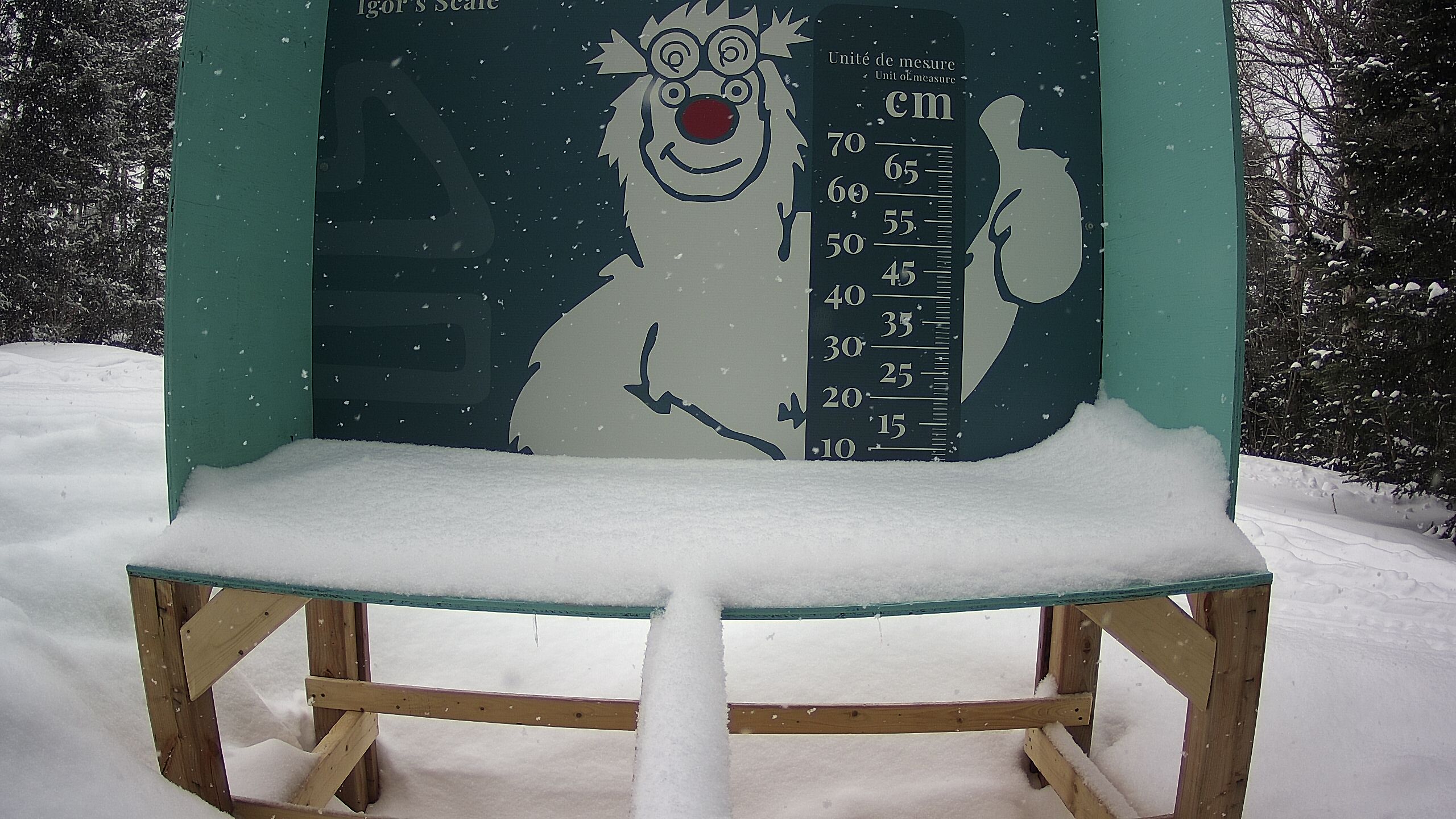 Échelle d’Igor – Summit webcam