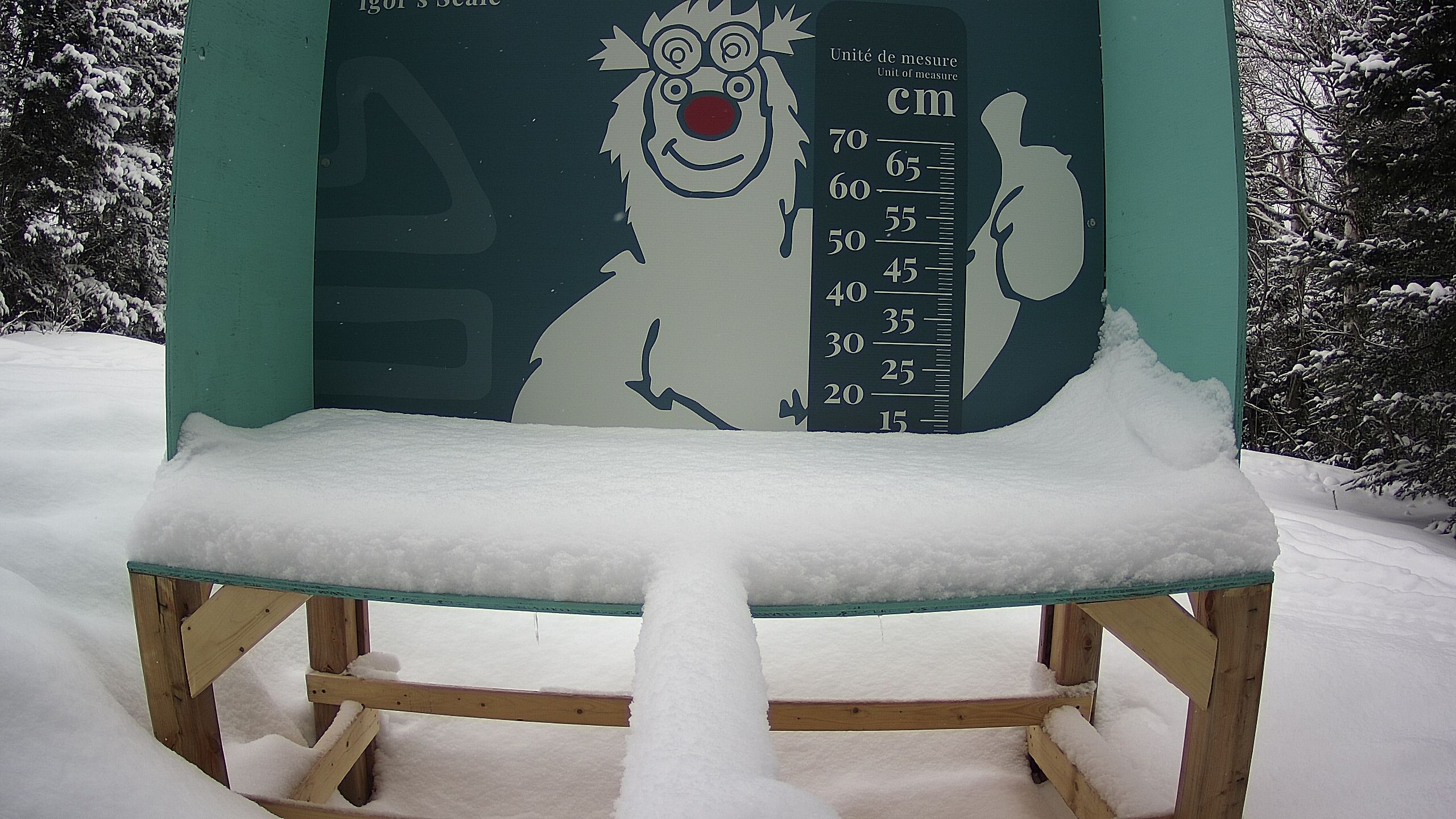 Échelle d’Igor – Summit webcam