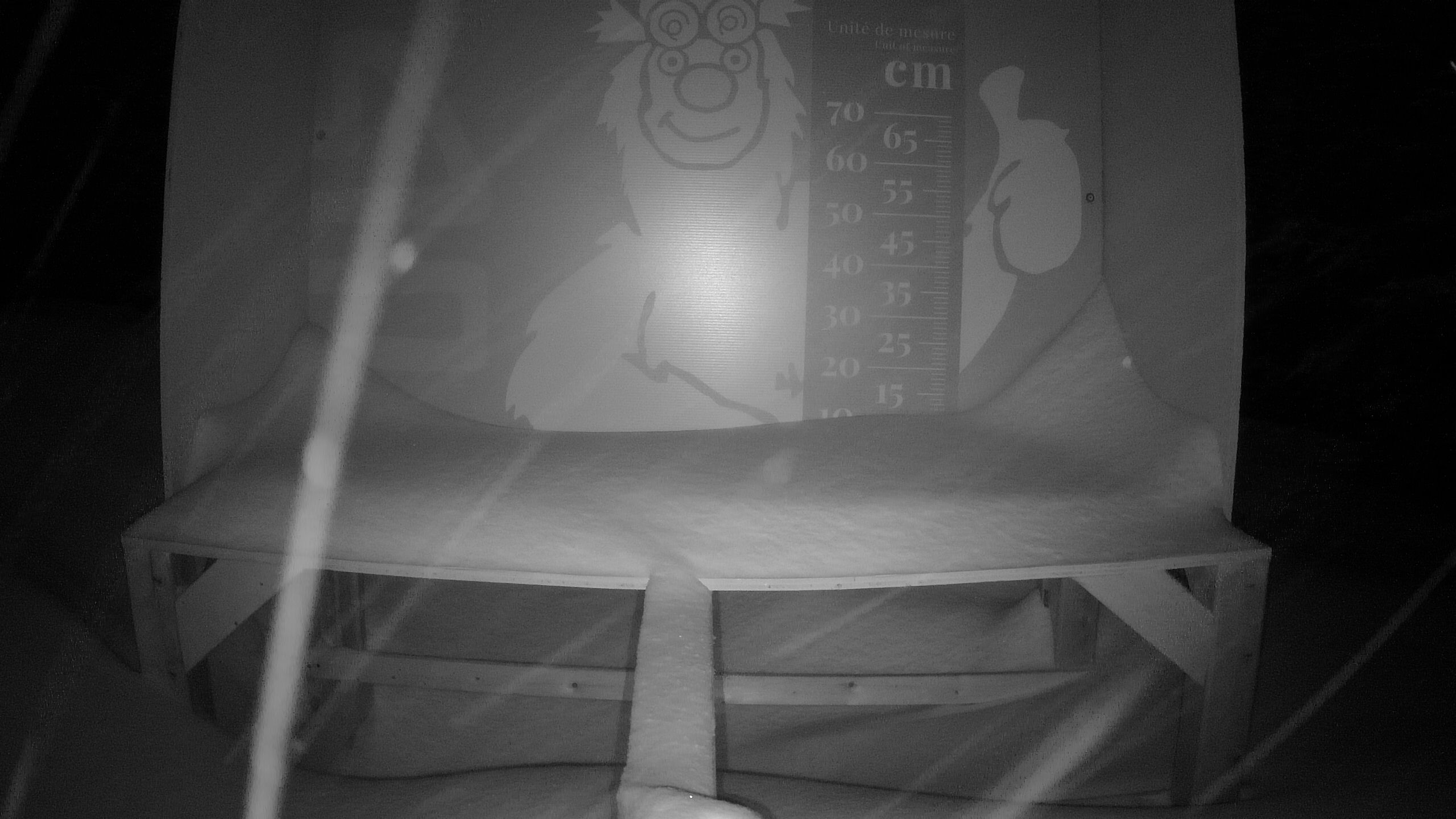 Échelle d’Igor – Summit webcam