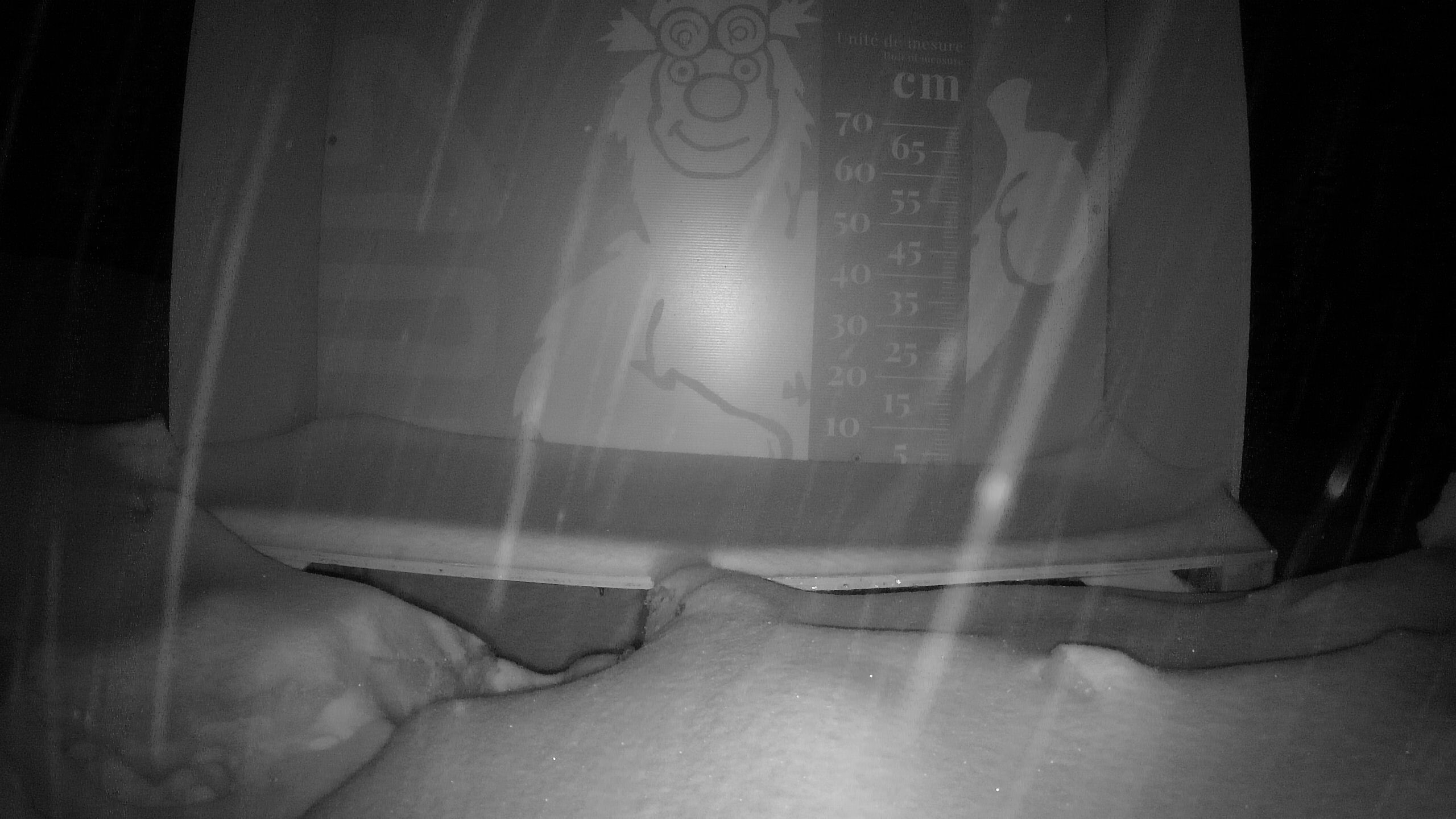 Échelle d’Igor – Summit webcam