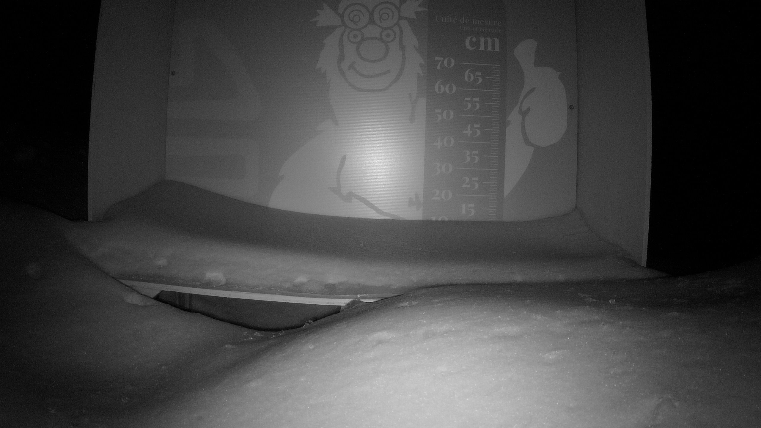 Échelle d’Igor – Summit webcam