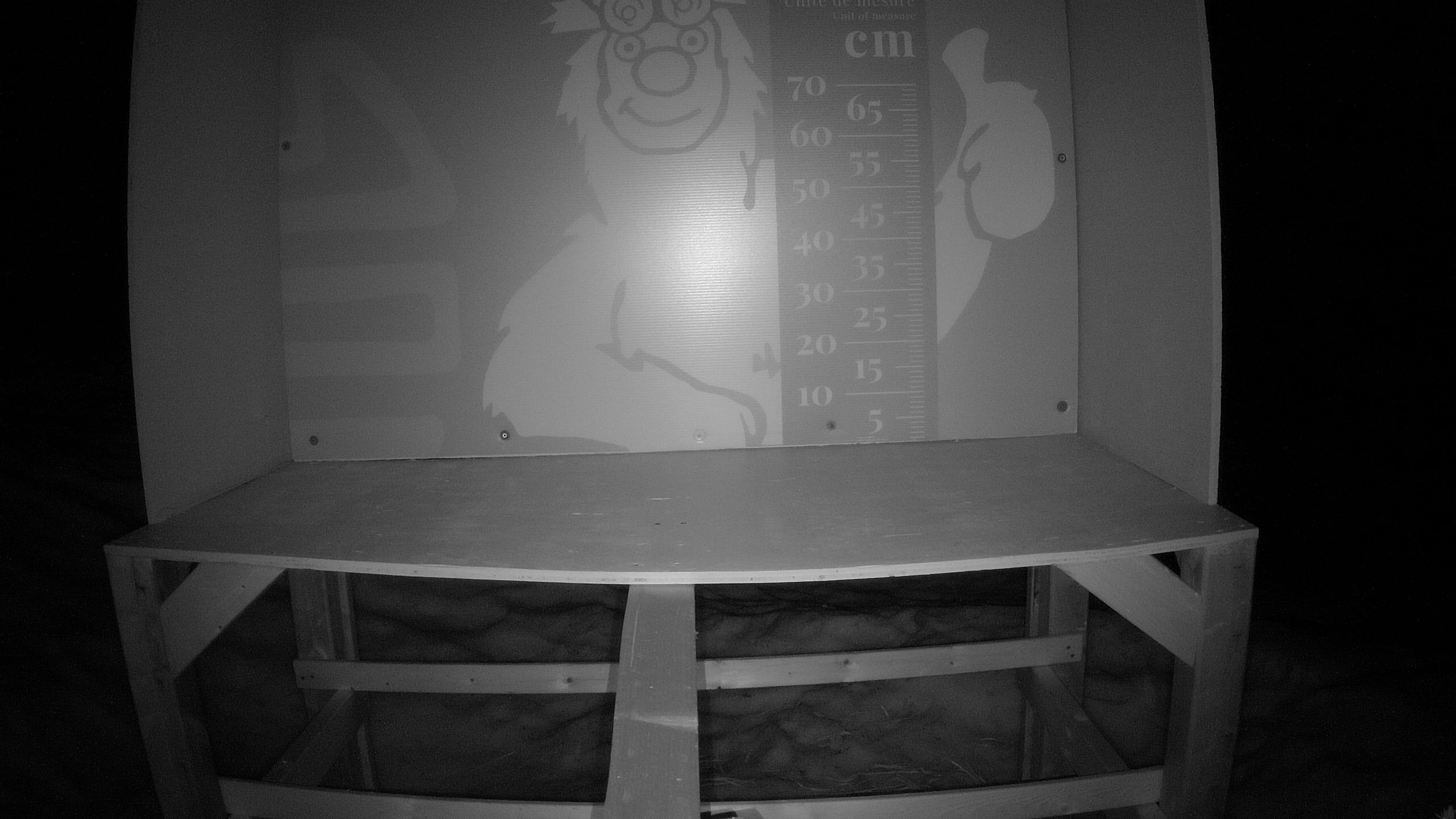 Échelle d’Igor – Summit webcam