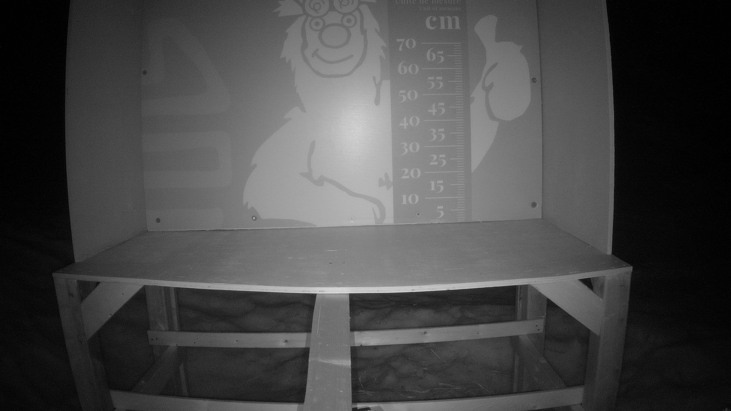 Échelle d’Igor – Summit webcam