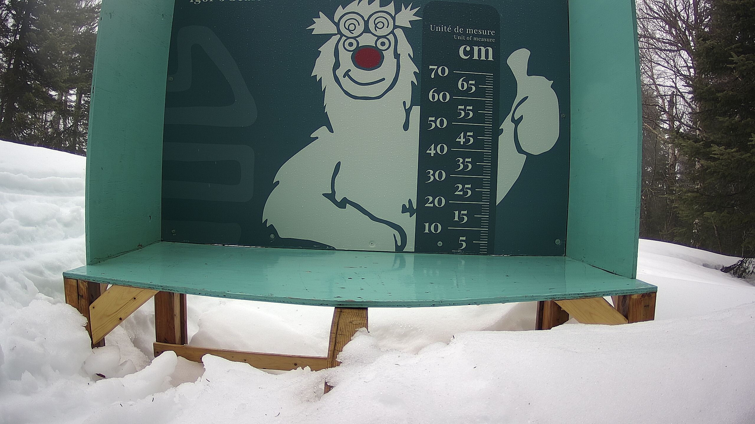 Échelle d’Igor – Summit webcam